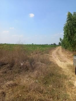 ขายด่วน : ที่ดิน ติดถนน เส้นท่าม่วงกาญจนบุรี ไป จอมบึงราชบุรี รูปที่ 3