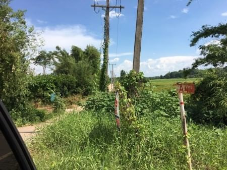 ขายด่วน : ที่ดินเปล่า บ้านโพนสา ท่าบ่อ หนองคาย ติดถนน คลองชลประทาน รูปที่ 5