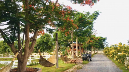 ขาย ที่ดิน พร้อมสิ่งปลูกสร้าง มีธุรกิจขนาดใหญ่ อุทัยธานี รูปที่ 8