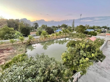 ขายด่วน : บ้านโมเดิร์น 6 ไร่ ใกล้สถานีรถไฟ หนองปลาดุก รูปที่ 10
