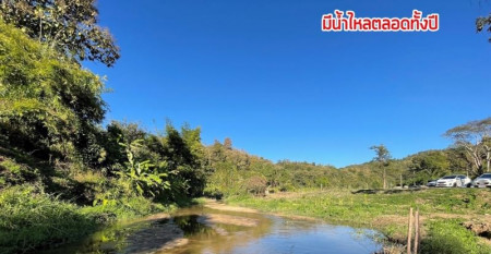 ขายด่วน : ที่ดิน ติดภูเขา ติดลำธาร มีน้ำไหลผ่าน ดอยสะเก็ด จังหวัดเชียงใหม่ รูปที่ 8