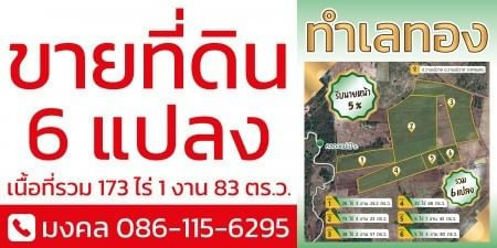 ขายด่วน : ที่ดิน แปลงใหญ่ 173ไร่ 1งาน 83ตารางวา รวม6โฉนดติดกัน วานรนิวาส สกลนคร รูปที่ 4