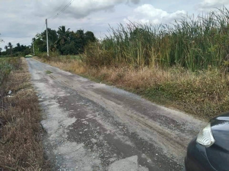 ขายด่วน ที่ดิน ใกล้ถนนเส้น 346 ลาดหลุมแก้ว ปทุมธานี รูปที่ 4