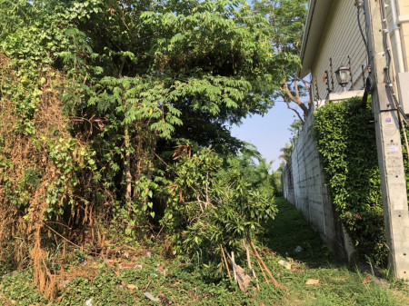 ขาย ที่ดิน สันติคามซอย10 สำโรงเหนือ เมือง สมุทรปราการ รูปที่ 3