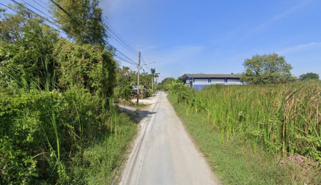 ขาย ที่ดิน ใกล้ถนนใหญ่ ตำบลท่าตลาด อำเภอสามพราน จังหวัดนครปฐม รูปที่ 3