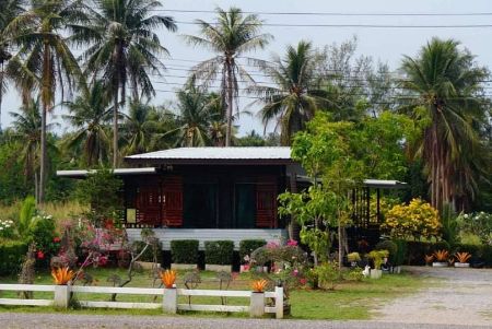 ขาย ที่ดิน โฉนดครุฑแดง พร้อมโอนทับสะแก 142 ตร.วา วิวเขาทะเล ฮวงจุ้ยมังกร หน้าทะเลหลังภูเขา รูปที่ 5