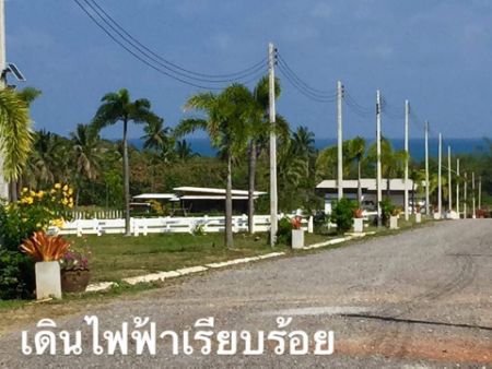 ขาย ที่ดิน โฉนดครุฑแดง พร้อมโอนทับสะแก 142 ตร.วา วิวเขาทะเล ฮวงจุ้ยมังกร หน้าทะเลหลังภูเขา รูปที่ 6