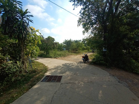 ขาย ที่ดินเปล่า ถมแล้ว ใกล้ตลาด ใกล้สถานีรถไฟบ้านภาชี รูปที่ 5
