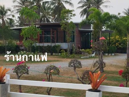 ขาย ที่ดิน โฉนดครุฑแดง พร้อมโอนทับสะแก 142 ตร.วา วิวเขาทะเล ฮวงจุ้ยมังกร หน้าทะเลหลังภูเขา รูปที่ 3