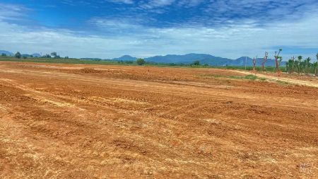 ขาย ที่ดิน พร้อมปลูกบ้านทันที มีน้ำ มีไฟ เข้าถึงพูลวิลล่า 100 ตร.วา ฟรีค่าโอนค่าภาษี ค่าแบ่งแยก รูปที่ 2