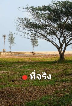 ขาย ที่ดิน ฉโนดครุฑแดง ให้ผ่อน 2ปี ฟรี  ดอกเบี้ย 2ปีทับสะแก 1 ตร.วา ใกล้ชายหาดสวย 90 เมตร รูปที่ 3