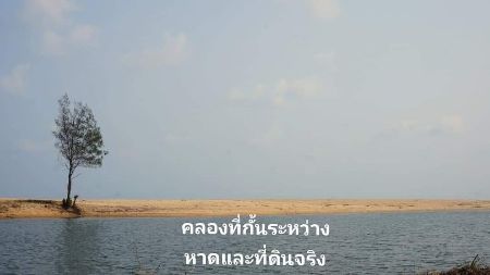 ขาย ที่ดิน ฉโนดครุฑแดง ให้ผ่อน 2ปี ฟรี  ดอกเบี้ย 2ปีทับสะแก 1 ตร.วา ใกล้ชายหาดสวย 90 เมตร รูปที่ 6