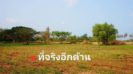 ขาย ที่ดิน ฉโนดครุฑแดง ให้ผ่อน 2ปี ฟรี  ดอกเบี้ย 2ปีทับสะแก 1 ตร.วา ใกล้ชายหาดสวย 90 เมตร รูปที่ 2