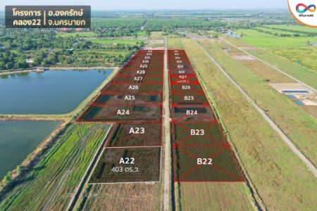 ขาย ที่ดิน ซื้อสด โฉนดพร้อมโอนคลอง22 403 ตร.วา ถนนสาธาณะหน้าแปลงกว้าง 8เมตร รูปที่ 2