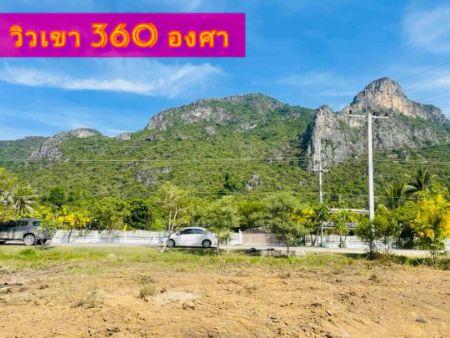 ขาย ที่ดิน โฉนดครุฑแดง พร้อมโอนสามร้อยยอด 203 ตร.วา ติดถนนลาดยาง ใกล้ทะเลเพียง 5 กม รูปที่ 3