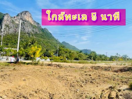 ขาย ที่ดิน โฉนดครุฑแดง พร้อมโอนสามร้อยยอด 203 ตร.วา ติดถนนลาดยาง ใกล้ทะเลเพียง 5 กม รูปที่ 2