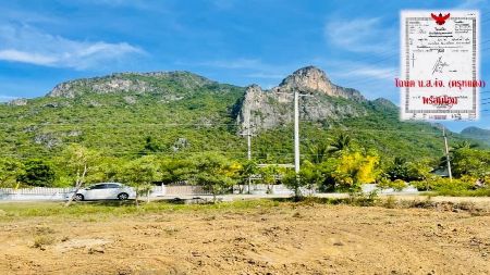 ขาย ที่ดิน โฉนดครุฑแดง พร้อมโอนสามร้อยยอด 203 ตร.วา ติดถนนลาดยาง ใกล้ทะเลเพียง 5 กม รูปที่ 4