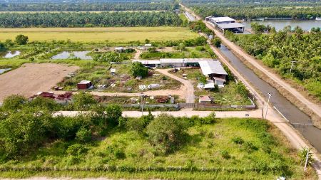 ขาย ที่ดิน โฉนดครุฑแดงคลองแปด 61 ตร.วา ไฟฟ้า ปะปา หน้าแปลง ถมแล้ว ติดถนนลาดยางทุกแปลง รูปที่ 4