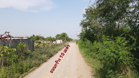 ขาย ที่ดิน โฉนดครุฑแดงคลองแปด 61 ตร.วา ไฟฟ้า ปะปา หน้าแปลง ถมแล้ว ติดถนนลาดยางทุกแปลง รูปที่ 6