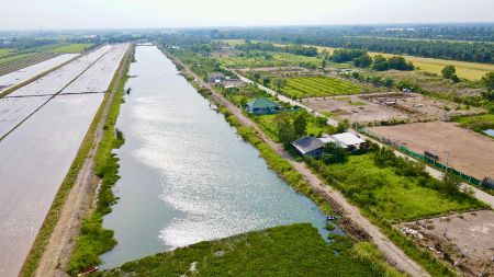 ขาย ที่ดิน โฉนดครุฑแดงคลองแปด 61 ตร.วา ไฟฟ้า ปะปา หน้าแปลง ถมแล้ว ติดถนนลาดยางทุกแปลง รูปที่ 3