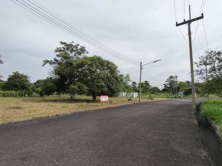 ขาย ที่ดิน ใกล้อ่างเก็บน้ำห้วยขุนจิต ตะเคียนเตี้ย 210 ตร.วา วิวอ่างเก็บน้ำ ภูเขา และ พระอาทิตย์ตกดิน รูปที่ 4