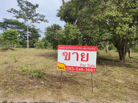 ขาย ที่ดิน ใกล้อ่างเก็บน้ำห้วยขุนจิต ตะเคียนเตี้ย 210 ตร.วา วิวอ่างเก็บน้ำ ภูเขา และ พระอาทิตย์ตกดิน รูปที่ 2