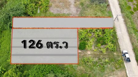 ขาย ที่ดิน โฉนดครุฑแดง พร้อมโอนฟรีโอนภาษีคลอง13 126 ตร.วา น้ำไฟฟ้า ประปาหน้าแปลง ถนนกว้าง 8 เมตร รูปที่ 3