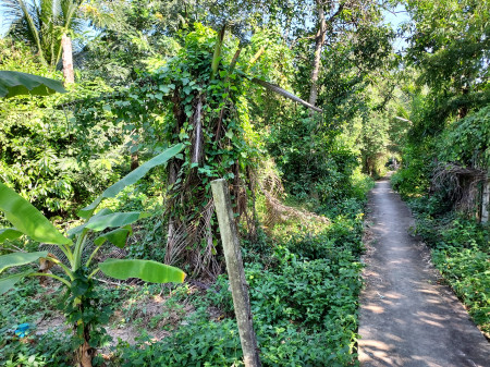 ขาย ที่ดิน ทำเลศักยภาพ เพียง 2กม.จากวงเวียนพระราม5ที่ดินเขตบางกรวย 5 ไร่ 97.1 ตร.วา ใกล้เซ็นทรัลสาขาราชพฤกษ์ หมายกำหนดเสร็จปี 2567 รูปที่ 5