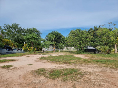 ขาย ที่ดิน ห่างจากชายหาด 200 เมตร ใกล้รีสอร์ทบ้านลมเล 74 ตร.วา ราคาพิเศษ. รูปที่ 6