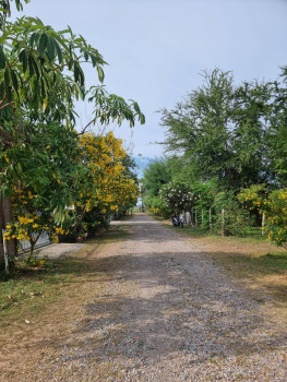 ขาย ที่ดิน ห่างจากชายหาด 200 เมตร ใกล้รีสอร์ทบ้านลมเล 74 ตร.วา ราคาพิเศษ. รูปที่ 2