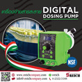 Dosing Pumps เครื่องเติมสารละลายมาตรฐาน NSF สำหรับกระบวนการผลิตน้ำดื่ม