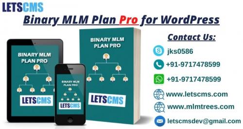 Binary MLM Plan Pro, Affiliate Marketing Software, Direct Selling, Pyramid, MLM eCommerce | USA รูปที่ 1