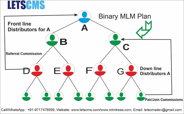 Binary MLM Software Demo | Binary MLM Compensation Plan, MLM Woocommerce | Thailand รูปที่ 1