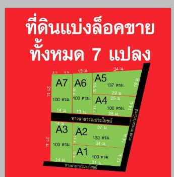 ขาย ที่ดิน แบ่งล๊อคพร้อมอยู่ ต.หนองหญ้าไซ อ.หนองหญ้าไซ สุพรรณบุรี เนื้อที่ 100 ตร.วา รูปที่ 3
