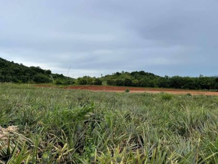 ขาย ที่ดิน วิวเขา 360 องศา วิวหลักล้านราคาหลักแสนกุยบุรี 100 ตร.วา น้ำไฟถึง ไม่ต้องถม พร้อมปลูกบ้าน รูปที่ 4