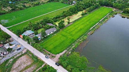 ขาย ที่ดิน ทำเลทองแปลงคลองราษฏร์นิยม 100 ตร.วา ด้านข้างติดทะเลสาบ ด้านท้ายติดคลอง ด้านหน้าติดถนน รูปที่ 3