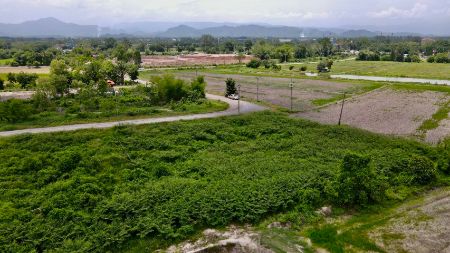 ขาย ที่ดิน ถนนกว้าง 8 เมตร ฟรีค่าโอนเมืองนครนายก 390 ตร.วา บรรยาาศดี ใกล้แยกสามสาว รูปที่ 6