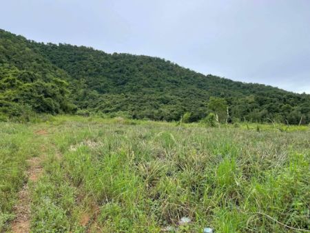 ขาย ที่ดิน วิวเขา 360 องศา วิวหลักล้านราคาหลักแสนกุยบุรี 100 ตร.วา น้ำไฟถึง ไม่ต้องถม พร้อมปลูกบ้าน รูปที่ 6