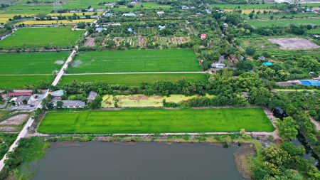 ขาย ที่ดิน ทำเลทองแปลงคลองราษฏร์นิยม 100 ตร.วา ด้านข้างติดทะเลสาบ ด้านท้ายติดคลอง ด้านหน้าติดถนน รูปที่ 4