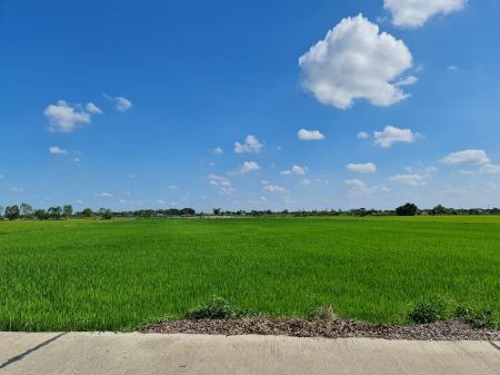 ขาย ที่ดิน ติดถนนคอนกรีต น้ำไฟอยู่หน้าแปลง100 เมตรโครงการเฟส2 ลาดบัวหลวง 1 ไร่ ทุกแปลงติดถนนสาธารณะกว้าง 6เมตร รูปที่ 6