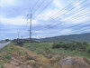 รูปย่อ ขาย ที่ดิน ME150 ผัง EEC สีม่วงลาย ติดถนนทางหลวง 331 คลองกิ่ว บ้านบึง ชลบุรี . 39 ไร่ 2 งาน หน้ากว้าง 285 เมตร รูปที่4