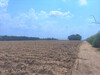 รูปย่อ ขาย ที่ดิน ME034 ราคาถูก ถนนกว้าง 8 m เกษตรสุวรรณ บ่อทอง ชลบุรี ขนาด 31 ไร่ 92 ตร.วา ใกล้เขตโรงงาน เหมาะสร้างโรงงาน หอพัก ทำเกษตร เก็งกำไร รูปที่4