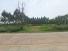 รูปย่อ ขาย ที่ดิน ME006 ราคาถูก บ่อกวางทอง บ่อทอง ชลบุรี บ่อทอง 16 ไร่ 1 งาน 86.8 ตร.วา ติดคอนกรีต ถนนเจริญโชคดี ห่างถนนทางหลวงสาย 331 เพียง 6.7 Km รูปที่3