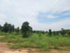 รูปย่อ ขาย ที่ดิน ME012 แปลงเล็ก ราคาถูก เหมาะทำการเกษตร สร้างบ้านอยู่ ใกล้กรุงเทพ ชลบุรี เกาะจันทร์ 1 ไร่ 3 งาน บ่อทอง ปะปา ไฟฟ้า และสวนต้นขนุน รูปที่8