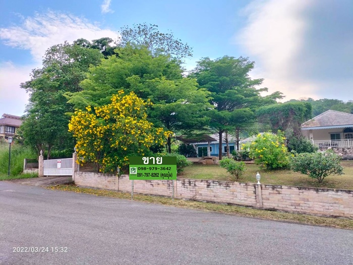ขาย บ้านเดี่ยว ปากช่อง เชาใหญ่ 330 ตรว. 4 นอน 6 น้ำ รูปที่ 3