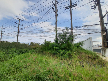 ขายที่ดินถมแล้ว 3.5 ไร่ ติดถนนสุวินทวงศ์(304) ติดสถานีไฟฟ้าลาดขวาง 2 คลองนครเนื่องเขต ใกล้เมืองฉะเชิงเทรา รูปที่ 1