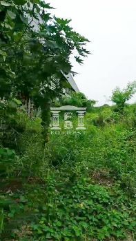 ขาย ที่ดิน รหัส 41763 อยู่ในทำเลโรงงานย่านบางกระดี่ แสมดำ เนื้อที่ 4 ไร่ 1 งาน 93 ตร.วา อยู่ในทำเลโรงงานย่าน10 รูปที่ 5
