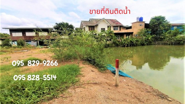 ขายที่ดินเงินผ่อนและเงินสด ให้ผ่อนยาว ๆ 8 ปี  จำนวน 40-200 ตรว ถมแล้วติดน้ำสวย  สวนพริกไทย  ปทุมธานี รูปที่ 1