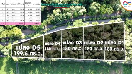 ขาย ที่ดิน ทำเลสวย ติดสนามกอล์ฟโครงการไดนาสตี้กอล์ฟ 180 ตร.วา ใกล้แหล่งความเจริญ รูปที่ 6