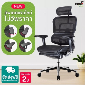 เก้าอี้ โซฟา ราคาถูก DF Prochair | เก้าอี้เพื่อสุขภาพ รุ่น Ergo2 T168 เก้าอี้พับ เก้าอี้สนาม รูปที่ 1